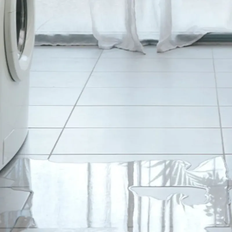 Appliance Leak Cleanup in Jefferson City, TN