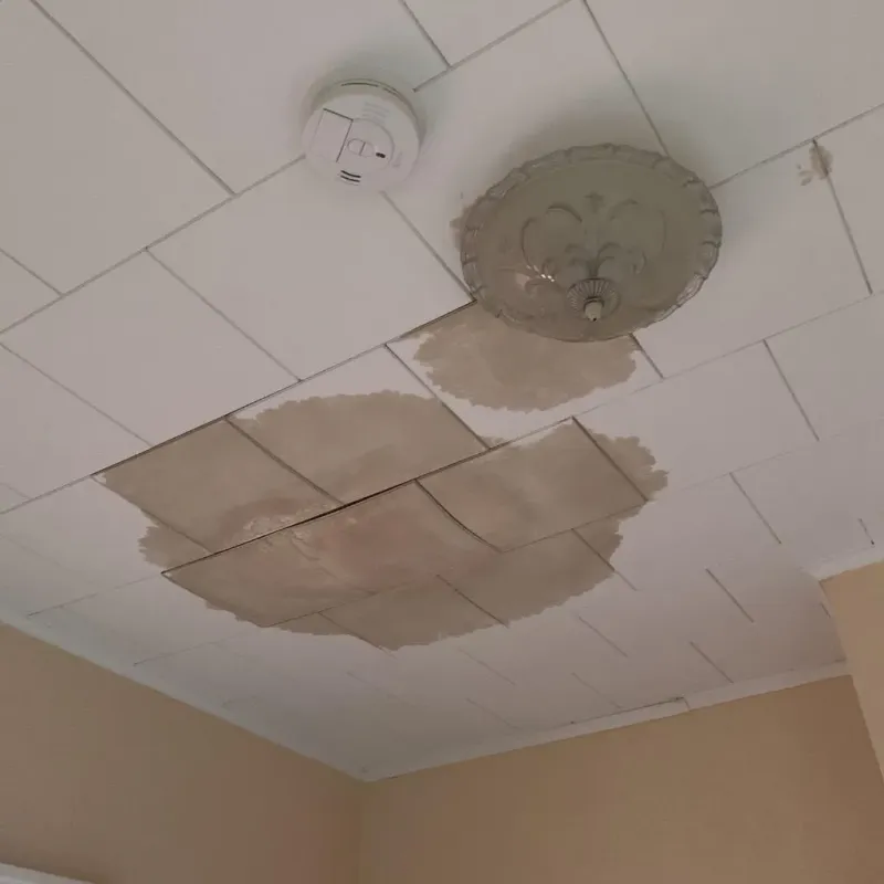 Ceiling Water Damage Repair in Jefferson City, TN
