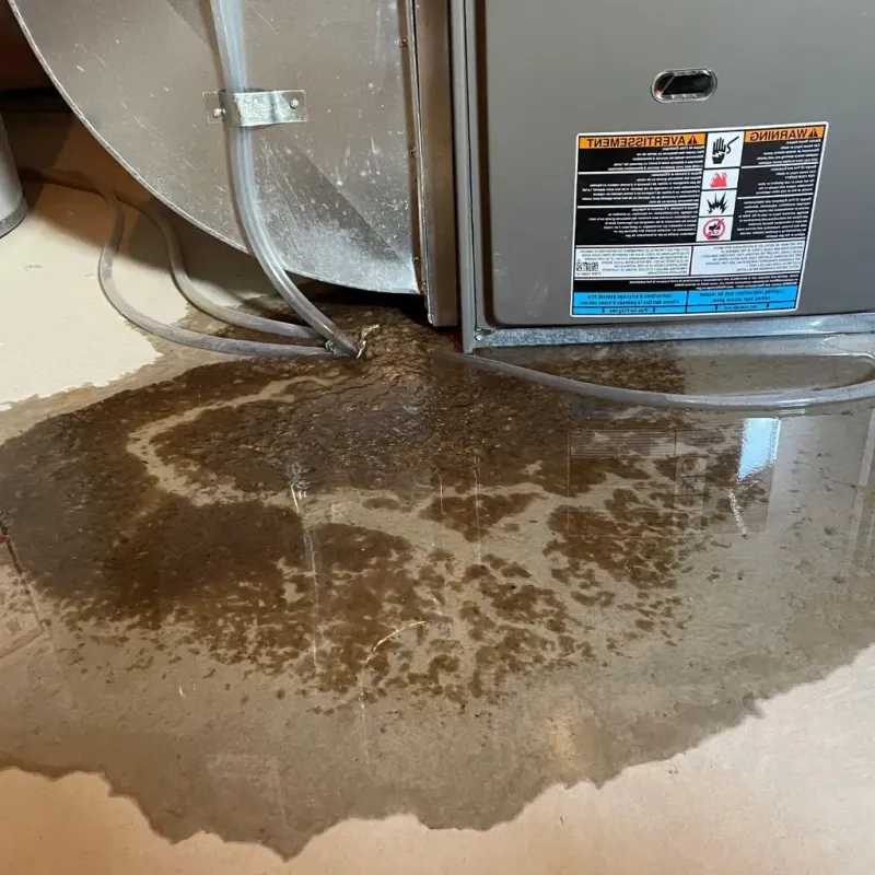 Pipe Burst and Leak Restoration in Jefferson City, TN
