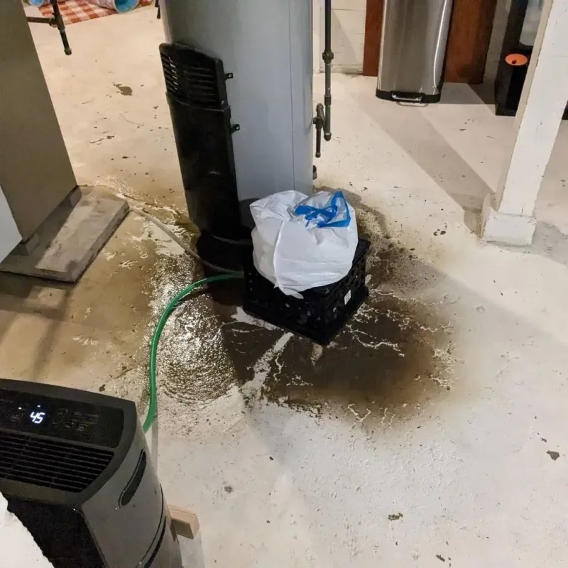 Sewage Backup Cleanup Service in Jefferson City, TN